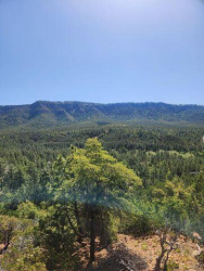5059 Hilltop Drive, Pine, Arizona 85544, ,Land,For Sale,Hilltop,92212