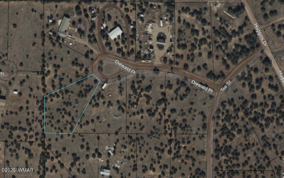 8513 Diewald Place, Show Low, Arizona 85901, ,Land,For Sale,Diewald,255862