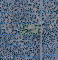 TBD CR 8115, Concho, Arizona 85924, ,Land,For Sale,CR 8115,255830