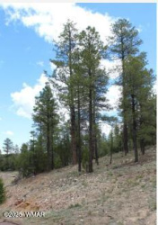 3339 Sawmill Ridge Loop, Heber, Arizona 85928, ,Land,For Sale,Sawmill Ridge,255821