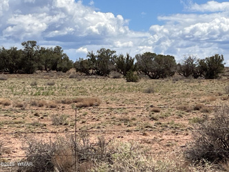 8801 Concho Highway, Snowflake, Arizona 85937, ,Land,For Sale,Concho,255837