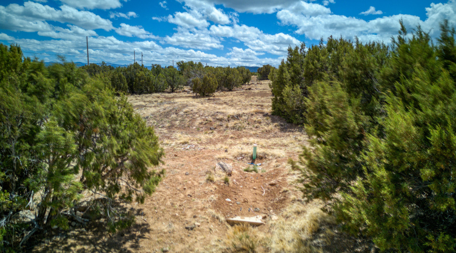 Paxmanphoto_DJI_20250418130934_0352_D