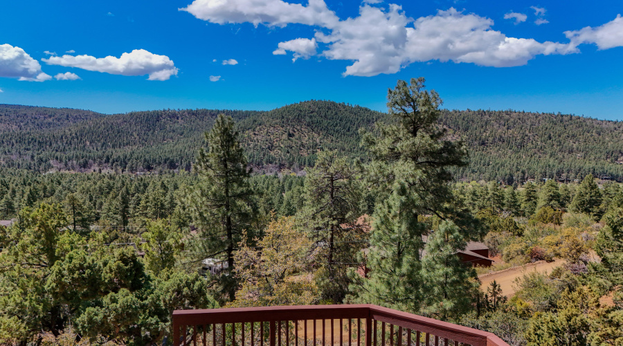 Clark - Tomahawk Trail Full Size-59