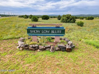 1080 Lorenzo Sitgreaves Drive, Show Low, Arizona 85901, ,Land,For Sale,Lorenzo Sitgreaves,253033