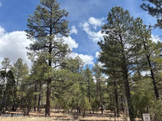 3260 Black Oak Loop, Show Low, Arizona 85901, ,Land,For Sale,Black Oak,255885