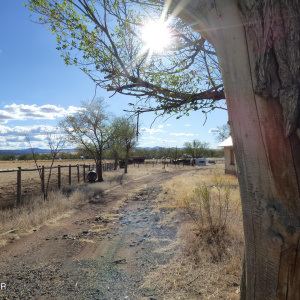 325 S. Papago Street (34)