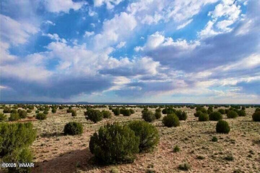 River Meadows Unit 3 Lot 213, Concho, Arizona 85924, ,Land,For Sale,Meadows Unit 3 Lot 213,255890