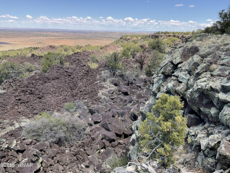 425 8051, Concho, Arizona 85924, ,Land,For Sale,8051,255894