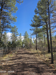 5449 Herd Street, Pinedale, Arizona 85934, Bedrooms, ,Bathrooms,Residential,For Sale,Herd,255874
