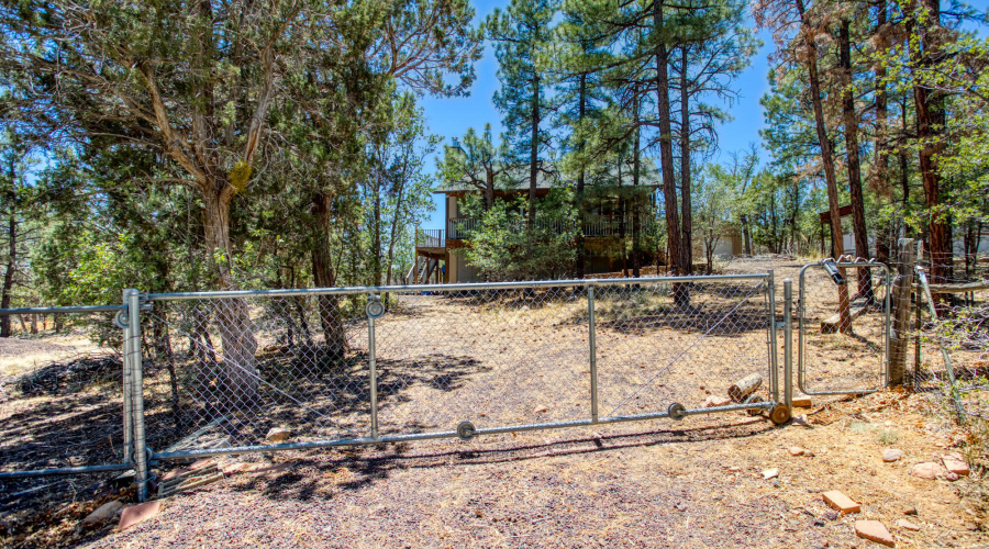 paxmanphoto_PAX_4913