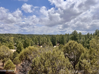 2310 Cottage Trail, Show Low, Arizona 85901, ,Residential,For Sale,Cottage,255880