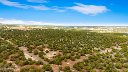 1528 Falcon Road, Show Low, Arizona 85901, ,Land,For Sale,Falcon,255909