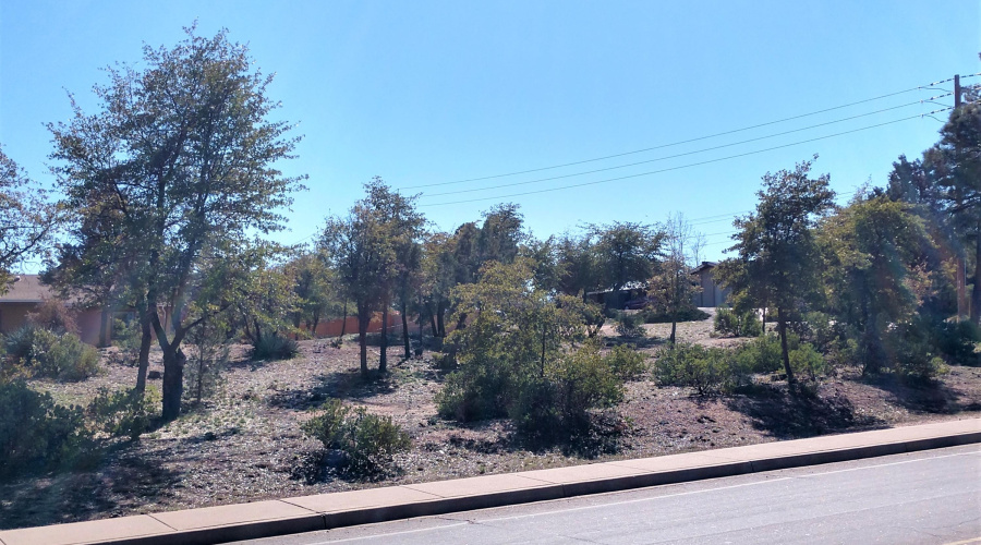 Longhorn looking South