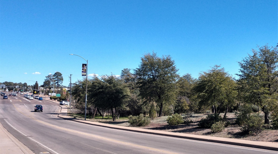 Longhorn looking to intersection