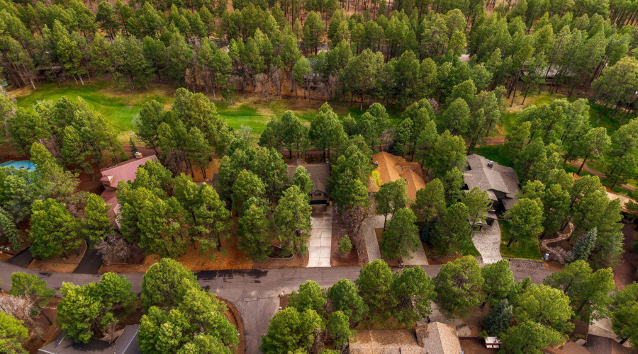 3530SoaringEagleWay-Pinetop-AZ-50