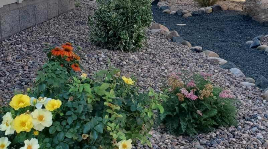 Resized_20250809_092025