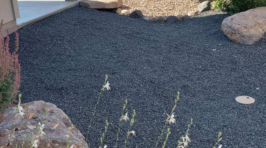 Resized_20250809_092055