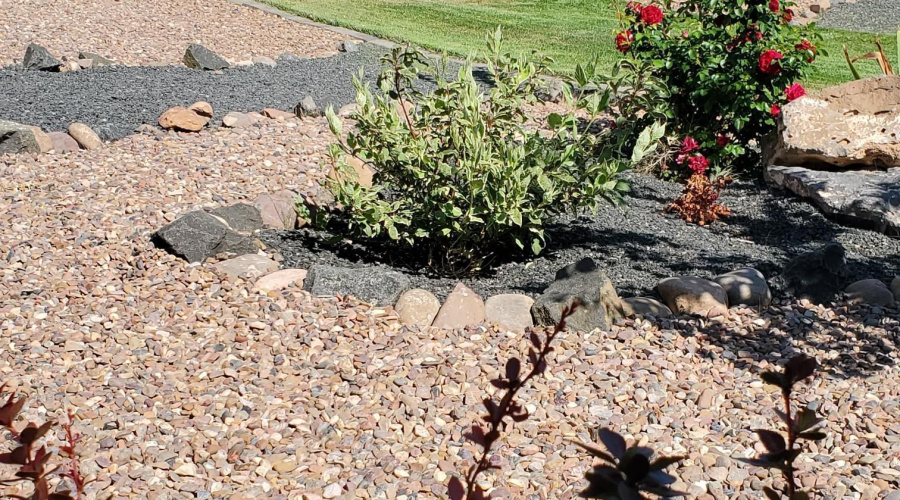 Resized_20250809_091742