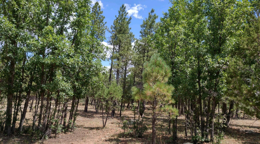 Build your Mt Retreat