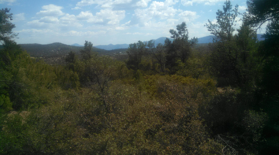 IMG_20160628_144829_080 - Copy