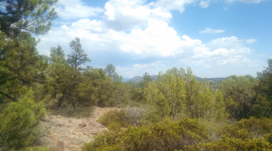 IMG_20160628_145044_885 - Copy