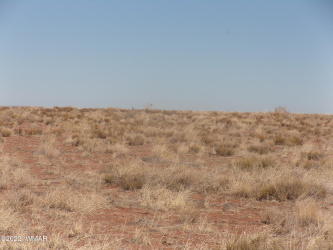 7846 Starlight Road, Holbrook, Arizona 86025, ,Land,For Sale,Starlight,255954