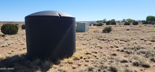 54 Freeman Hollow Road, Snowflake, Arizona 85937, ,Land,For Sale,Freeman Hollow,255785