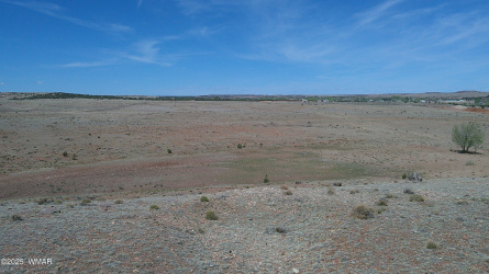 TBD Hereford Rd., Taylor, Arizona 85939, ,Land,For Sale,Hereford Rd.,255971