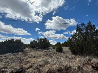 68 8114, Concho, Arizona 85924, ,Land,For Sale,8114,255974
