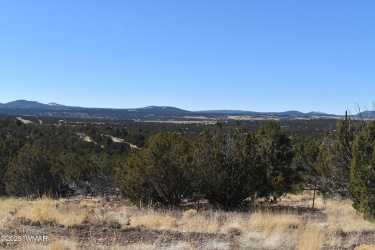 TBD Stanford Road, Concho, Arizona 85924, ,Land,For Sale,Stanford,255981
