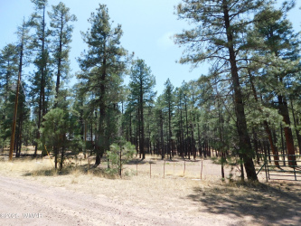 17 N2326, Alpine, Arizona 85920, ,Land,For Sale,N2326,255983