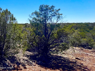 1528 Falcon Rd Lot A 10.33 Acres, Show Low, Arizona 85901, ,Land,For Sale,Falcon Rd Lot A 10.33 Acres,255993