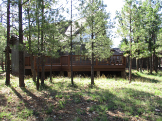 2421 SIOUX Lane, Happy Jack, Arizona 86024, Bedrooms, ,Bathrooms,Residential,For Sale,SIOUX,92264