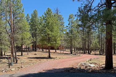 4966 Trail Circle, Happy Jack, Arizona 86024, Bedrooms, ,Bathrooms,Residential,For Sale,Trail,92262