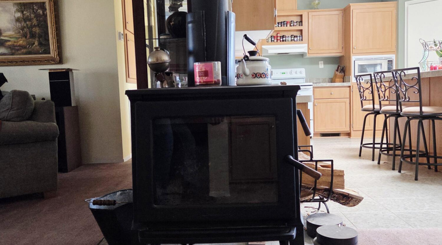 Wood stove