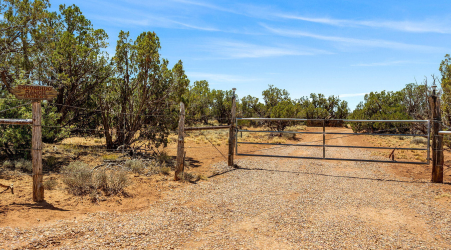 3733DelContento-Snowflake-AZ-8