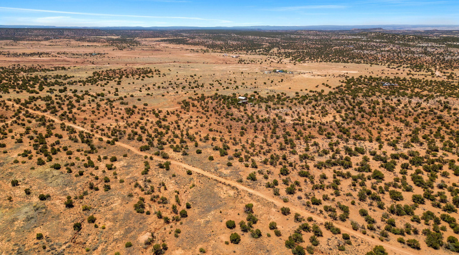 3733DelContento-Snowflake-AZ-15