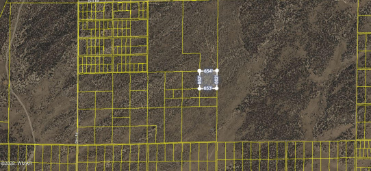 TBD CR 7411, St. Johns, Arizona 85936, ,Land,For Sale,CR 7411,256030