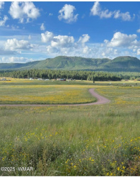 Lot 32 The Ranch at Alpine, Alpine, Arizona 85920, ,Land,For Sale,The Ranch at Alpine,255990