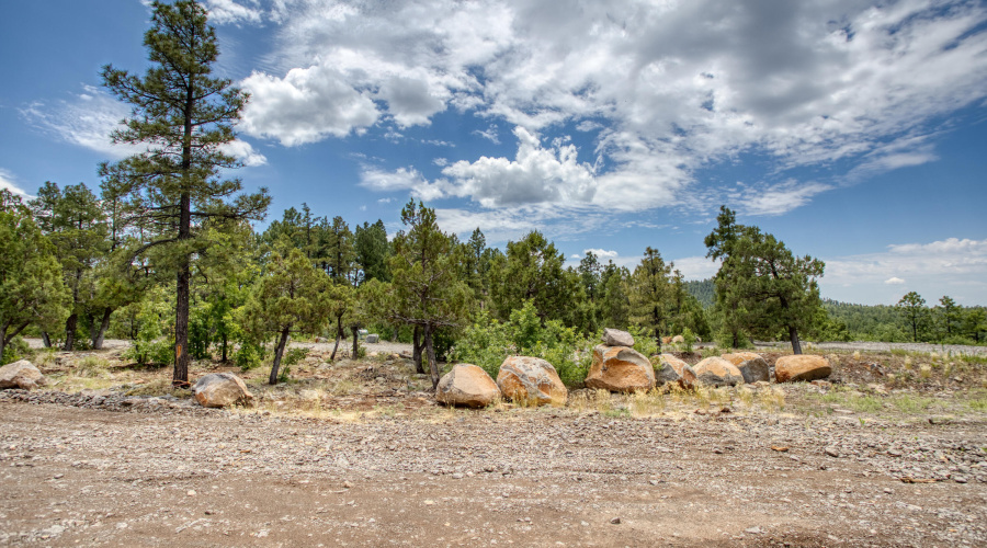 paxmanphotography_PAX_9250