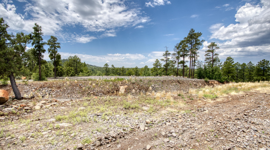 paxmanphotography_PAX_9255