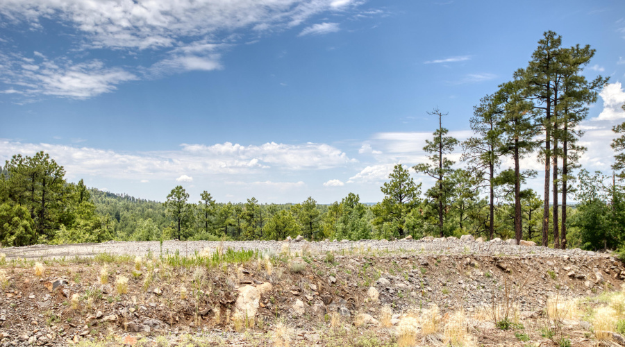 paxmanphotography_PAX_9257