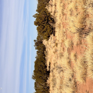 High Desert Land