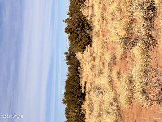 TBD 207-69-014E, Chambers, Arizona 86502, ,Land,For Sale,207-69-014E,256027