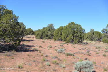 4278 Indian Bend Road, Snowflake, Arizona 85937, ,Land,For Sale,Indian Bend,256003