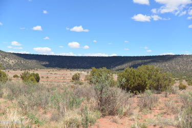 3987 Aztec Road, Snowflake, Arizona 85937, ,Land,For Sale,Aztec,256007
