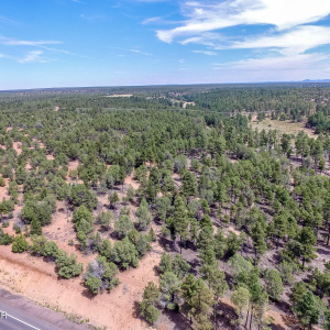 Drone View