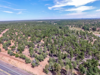 TBD 43rd Ave, Show Low, Arizona 85901, ,Land,For Sale,43rd Ave,256013