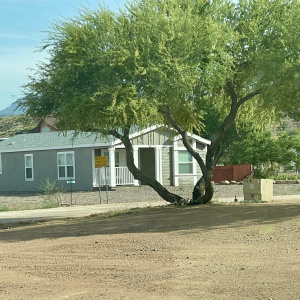 115 W Buckshot