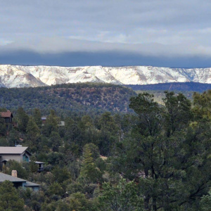 View 1
